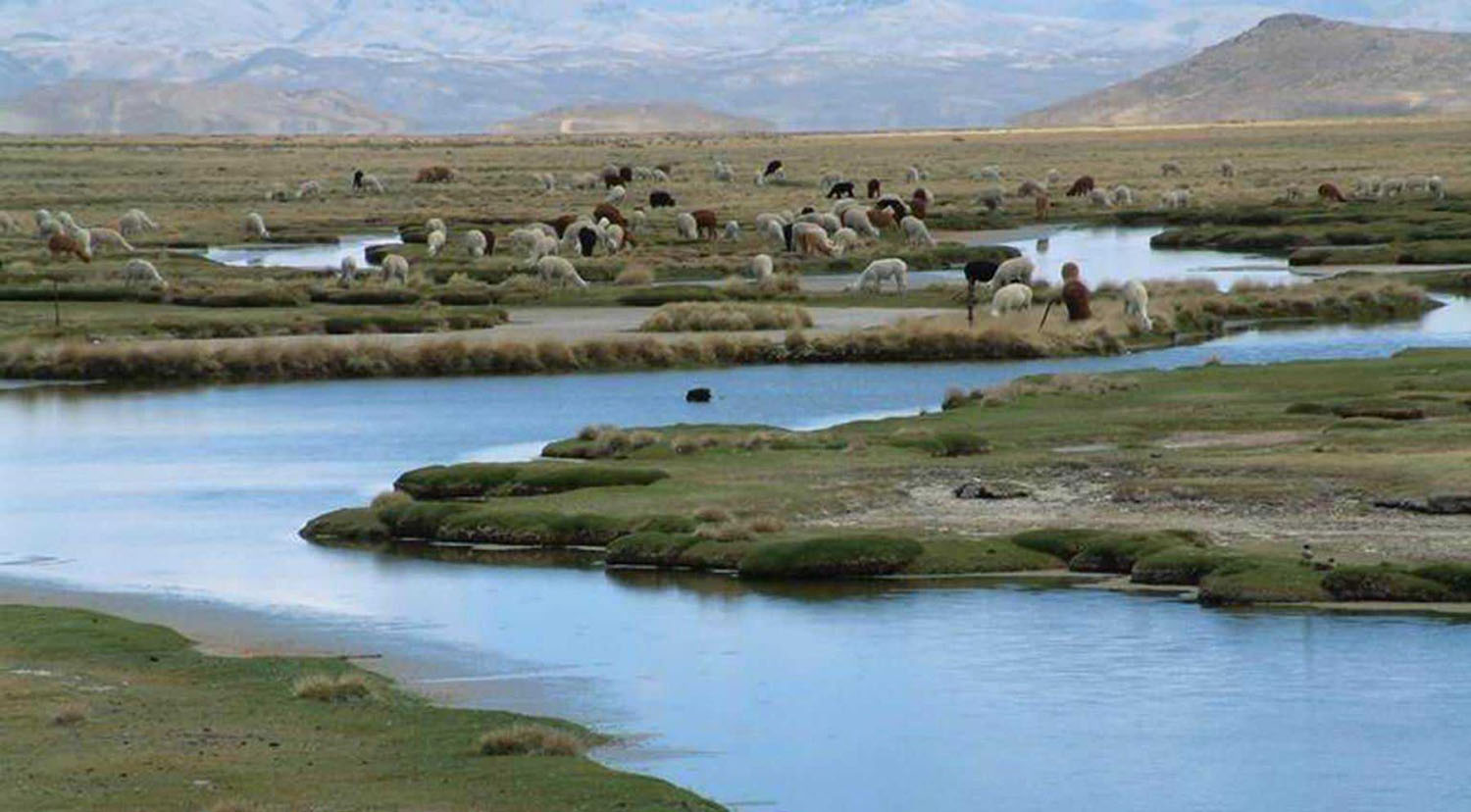 Reserva de Salinas y Aguada Blanca